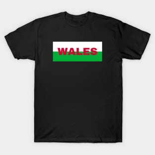 Welsh Flag Colors T-Shirt